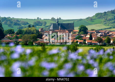 Champ de lin (Linum usitatissimum) en fleurs. Vic le Comte village. Puy de Dôme. L'Auvergne. France Banque D'Images