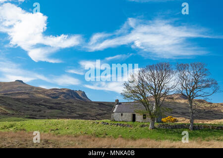 Les ruines de Bothy à Lettermore sur la lande menant vers Ben Loyal, donne également sur le Loch Loyal près de langue, Highland, Scotland, UK Banque D'Images