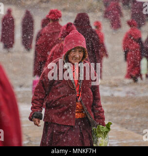 Les nonnes tibétaines marche dans la neige, Yarchen Gar, Sichuan, Chine Banque D'Images