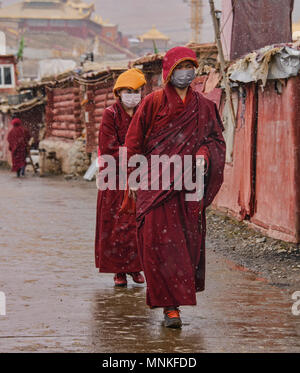 Les nonnes tibétaines marche dans la neige, Yarchen Gar, Sichuan, Chine Banque D'Images