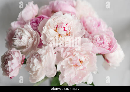 Mignon et jolie pivoine. nombreux pétales en couches. Bouquet de fleurs de pivoines rose pâle fond gris clair. Fond d'écran, photo verticale Banque D'Images