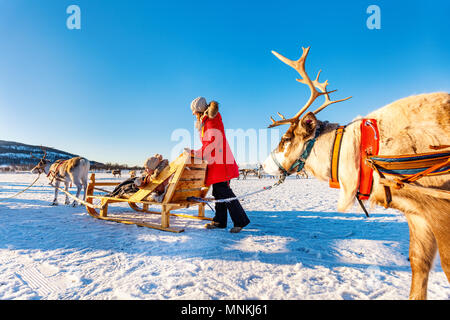 Mère de famille et sa fille à reindeer safari sur journée d'hiver ensoleillée dans le Nord de la Norvège Banque D'Images