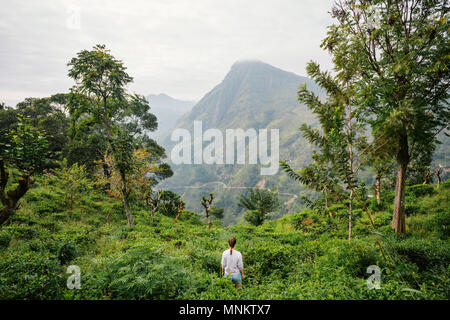 Jeune femme bénéficiant d'une vue imprenable sur les montagnes et les plantations de thé dans Ella Sri Lanka Banque D'Images