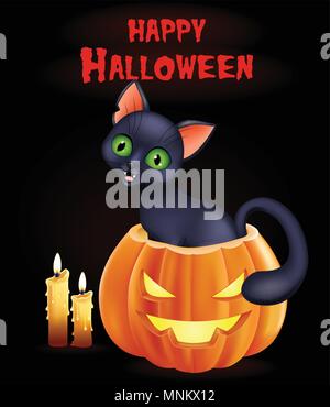 Arrière-plan avec Halloween citrouille chat assis à l'intérieur Illustration de Vecteur