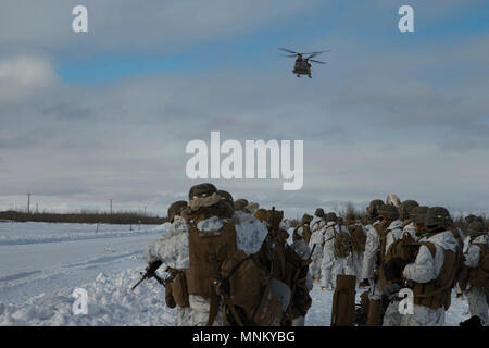 Les Marines américains avec la compagnie Kilo, 3e Bataillon, 8e Régiment de Marines, est inséré dans l'exercice de tir réel interarmes, l'événement culminant de Artic Edge, à Fort Greely, en Alaska, le 14 mars 2018. Arctic Edge 2018 est un exercice biennal, à grande échelle, l'exercice multinational interarmées qui prépare et teste les capacités de l'armée américaine dans les milieux arctiques. Banque D'Images