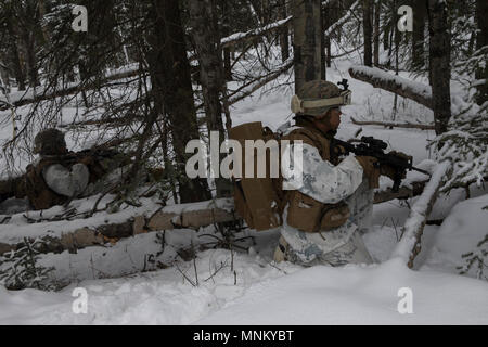 Les Marines américains avec la compagnie Kilo, 3e Bataillon, 8e Régiment de Marines, de mener l'exercice de tir réel interarmes, l'événement culminant de Artic Edge, à Fort Greely, en Alaska, le 14 mars 2018. Arctic Edge 2018 est un exercice biennal, à grande échelle, l'exercice multinational interarmées qui prépare et teste les capacités de l'armée américaine dans les milieux arctiques. Banque D'Images