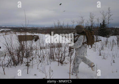 Le Corps des Marines des États-Unis. Alex Leyva avec la compagnie Kilo, 3e Bataillon, 8e Régiment de Marines, procède à l'exercice de tir réel interarmes, l'événement culminant de Artic Edge, à Fort Greely, en Alaska, le 14 mars 2018. Arctic Edge 2018 est un exercice biennal, à grande échelle, l'exercice multinational interarmées qui prépare et teste les capacités de l'armée américaine dans les milieux arctiques. Banque D'Images