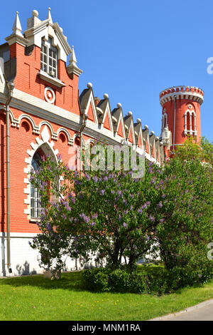 Lilas en fleurs près de tours de Petrovsky Palace Voyage. Moscou, Russie Banque D'Images