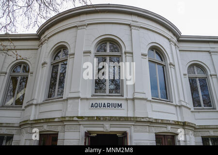 À l'aquarium du zoo Artis Amsterdam Pays-Bas Banque D'Images