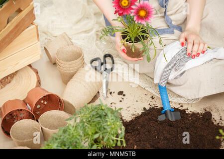 Vue de dessus pour outils de jardinage planter des fleurs et un sol Banque D'Images