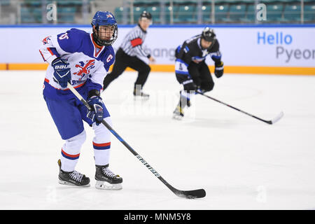 Projet de la LNH Kirk de la perspective Liam EIHL Sheffield Steelers fait partie de l'équipe Grande-bretagne au cours de championnats du monde jeunesse de l'IIHF Banque D'Images