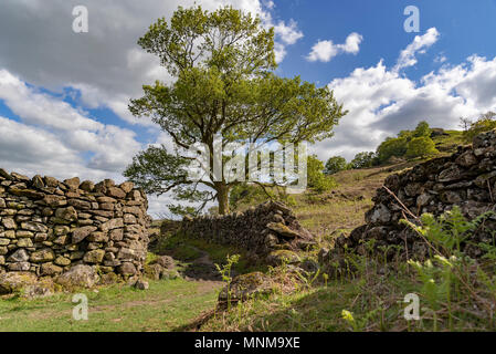 Easdale. Le Lake District Banque D'Images