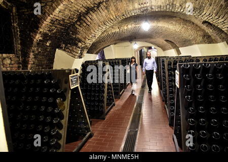 Winery and Vineyards de l'Travaglino Estate qui participe à l'initiative des caves ouvertes dans l'Oltre po '2018 (Duilio, Piaggesi Calvignano - Pavia - 2018-05-17) ps la photo peut être utilisé en respectant le contexte dans lequel elle a été prise, et sans l'intention diffamatoire du décorum de personnes représentée Banque D'Images