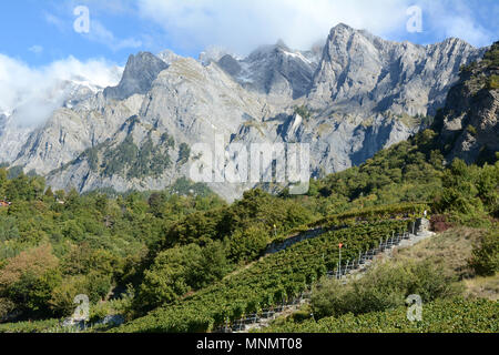 Mountain Vineyards vu de la Route des Vins, près de la ville de Chamoson, dans la vallée supérieure du Rhône, canton du Valais, en Suisse méridionale. Banque D'Images