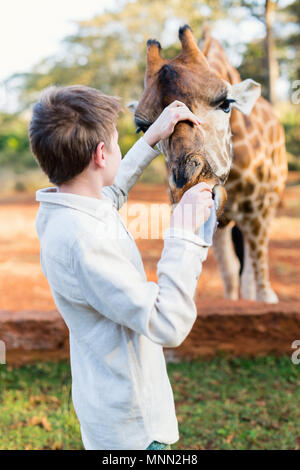 Jeune adolescent nourrir les girafes en Afrique Banque D'Images