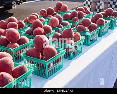 Mûres, cueillies fraîches Chilton Comté de pêches sur l'affichage dans des paniers à un marché des fermiers de la route dans l'Alabama, USA. Banque D'Images