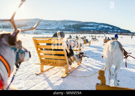 Adolescent et sa famille en luge à reindeer safari sur journée d'hiver ensoleillée dans le Nord de la Norvège Banque D'Images