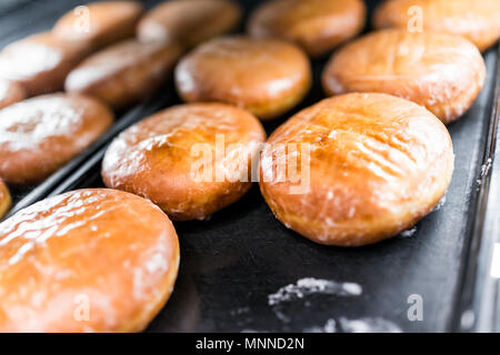 Vitrage clair rempli de gelée confiture beignets de sucre libre sur le plateau de boulangerie, vanille, frits délicieux délicieux Banque D'Images