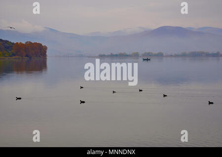 Le lac de Kastoria en automne avec des canards Banque D'Images