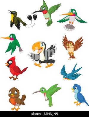 Ensemble de collection oiseaux Cartoon Illustration de Vecteur