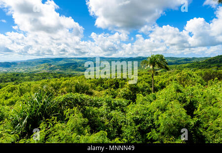 Parc national de Farley Hill sur l'île antillaise de la Barbade. C'est une destination paradisiaque avec une plage de sable blanc et mer turquoiuse. Banque D'Images