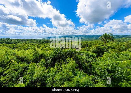 Parc national de Farley Hill sur l'île antillaise de la Barbade. C'est une destination paradisiaque avec une plage de sable blanc et mer turquoiuse. Banque D'Images