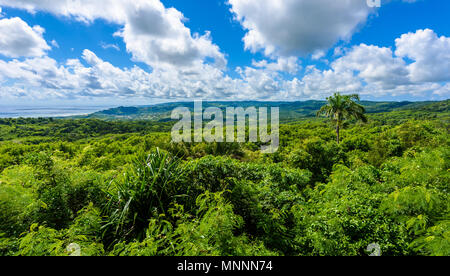 Parc national de Farley Hill sur l'île antillaise de la Barbade. C'est une destination paradisiaque avec une plage de sable blanc et mer turquoiuse. Banque D'Images