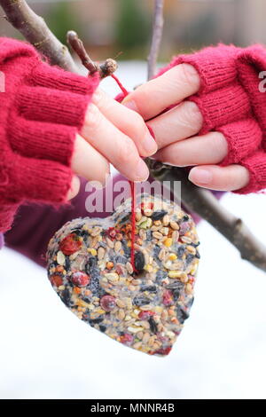 L'étape par étape 6/7 : faire de l'hiver berry les mangeoires avec un emporte-pièce. Coeur fait maison en forme d'étoile et les mangeoires à suspendre à partir de la branche d'arbre - hiver UK Banque D'Images