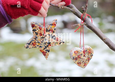 L'étape par étape 6/7 : faire de l'hiver berry les mangeoires avec un emporte-pièce. Coeur fait maison en forme d'étoile et les mangeoires suspendues à partir de la branche d'arbre - hiver UK Banque D'Images