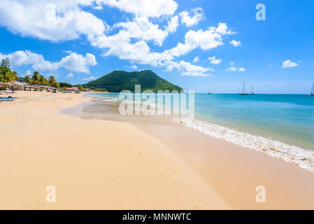 Plage de Reduit - la côte Tropical sur l'île caribéenne de Sainte-Lucie. C'est une destination paradisiaque avec une plage de sable blanc et mer turquoiuse. Banque D'Images