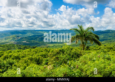 Parc national de Farley Hill sur l'île antillaise de la Barbade. C'est une destination paradisiaque avec une plage de sable blanc et mer turquoiuse. Banque D'Images