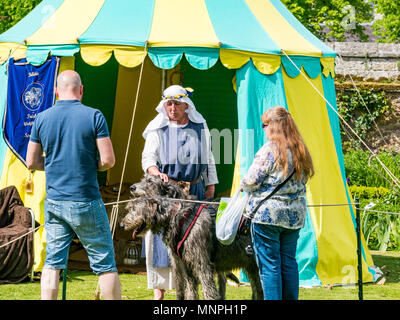 Dirleton, East Lothian, Écosse, Royaume-Uni, 19 mai 2018. Le village médiéval vivant avec une femme en costume et des gens admirant les wolfhounds irlandais Banque D'Images