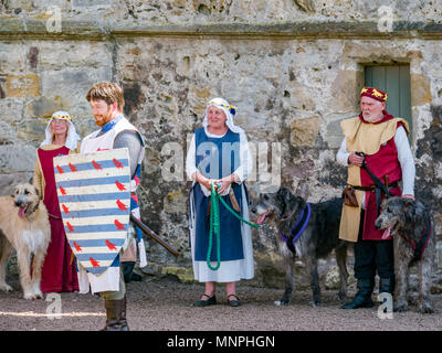 Dirleton, East Lothian, Écosse, Royaume-Uni, 19 mai 2018. Reconstitution de l'attaque du château de Dirleton. La Société historique de Saltyre organise une reconstitution de la langue dans la joue d'une attaque par Robert the Bruce, roi d'Écosse, vers 1311, pour prendre le château des Anglais, vêtu de vêtements authentiques et d'armure et brandissant des répliques d'armes dans le château Dirleton d'Environnement historique Écosse. Aymer de Valence et les gens en costume avec les wolfhounds irlandais Banque D'Images