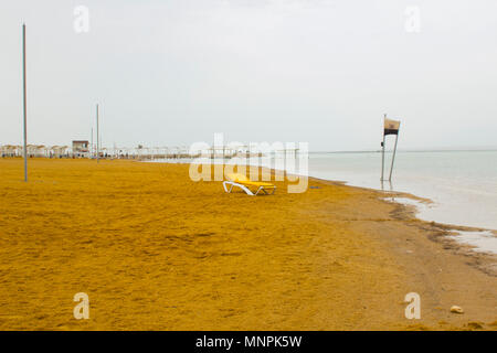 L'Ein Bokek beach à l'hôtel beaucoup sur la mer Morte en Judée Israël. Les touristes appréciant les commodités qu'ils préparent pour flottant dans la mer Banque D'Images