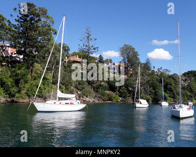 Yachts ancrés dans un bras Banque D'Images