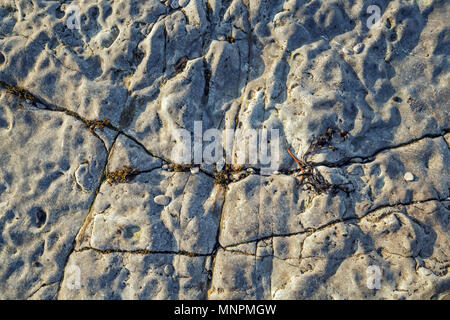 Surface de heavilly falaise maritime érodés dans rock couleurs brun-gris Banque D'Images