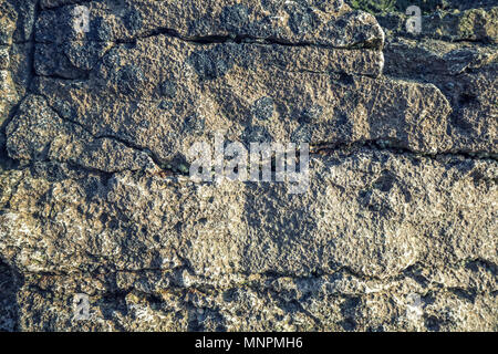 Surface de heavilly falaise maritime érodé en couleurs gris rock Banque D'Images