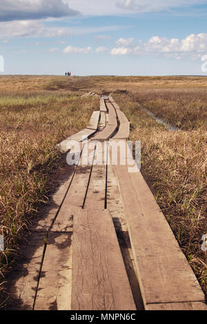 Vue panoramique sur le sentier près de Knivskjelodden Nordkapp, Norvège. Knivskjelodden est la partie la plus au nord de l'Europe et ne peut être atteint à pied. Banque D'Images