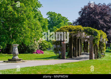 Vue panoramique sur Andrews Park (parc de l'Est) avec la Pergola de glycines à droite en mai 2018 dans le centre-ville de Southampton, Hampshire, England, UK Banque D'Images