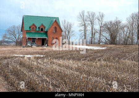 Maison abandonnée dans un champ de tiges de maïs Banque D'Images