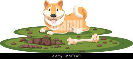 Un chien Shiba sur fond blanc illustration Illustration de Vecteur
