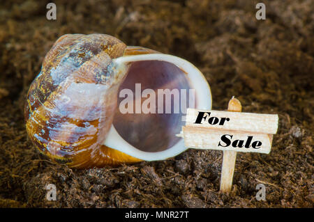 Maison à vendre concept avec chambre et escargot en bois miniature sale sign Banque D'Images