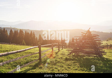 Beau paysage de montagne d'été à sunshine.Vue sur la prairie clôturé clôture et vaches qui paissent sur elle Banque D'Images