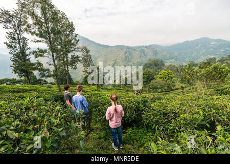 Famille du père et de deux enfants bénéficiant d'une vue imprenable sur les montagnes et les plantations de thé dans Ella Sri Lanka Banque D'Images
