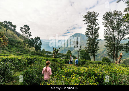 Famille du père et de deux enfants bénéficiant d'une vue imprenable sur les montagnes et les plantations de thé dans Ella Sri Lanka Banque D'Images