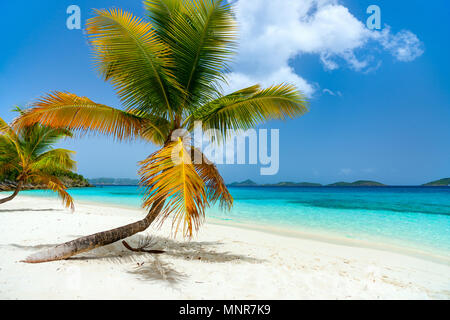 Belle plage tropicale avec palmiers, le sable blanc, l'eau de l'océan turquoise et ciel bleu sur St John, US Virgin Islands en Caraïbes Banque D'Images