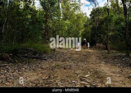 Père de promenade avec les enfants le long d'une route à travers une forêt, Rollingstone QLD, Australie Banque D'Images