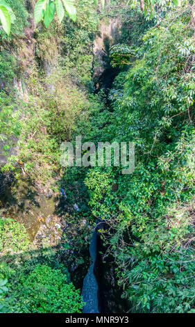 Une gorge est un profond chenal formé par une rivière qui a érodé la croûte terrestre sur des millions d'années. Ce George est grande et visible de haut. Banque D'Images