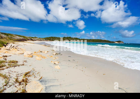 Belle plage tropicale de Half Moon Bay Antigua dans l'île de sable blanc des Caraïbes, de l'eau de l'océan turquoise et ciel bleu Banque D'Images