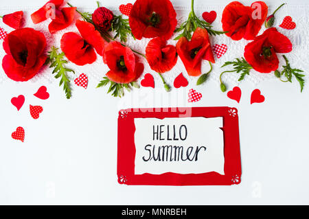 Hello summer card avec fleurs de pavot sur fond blanc Banque D'Images